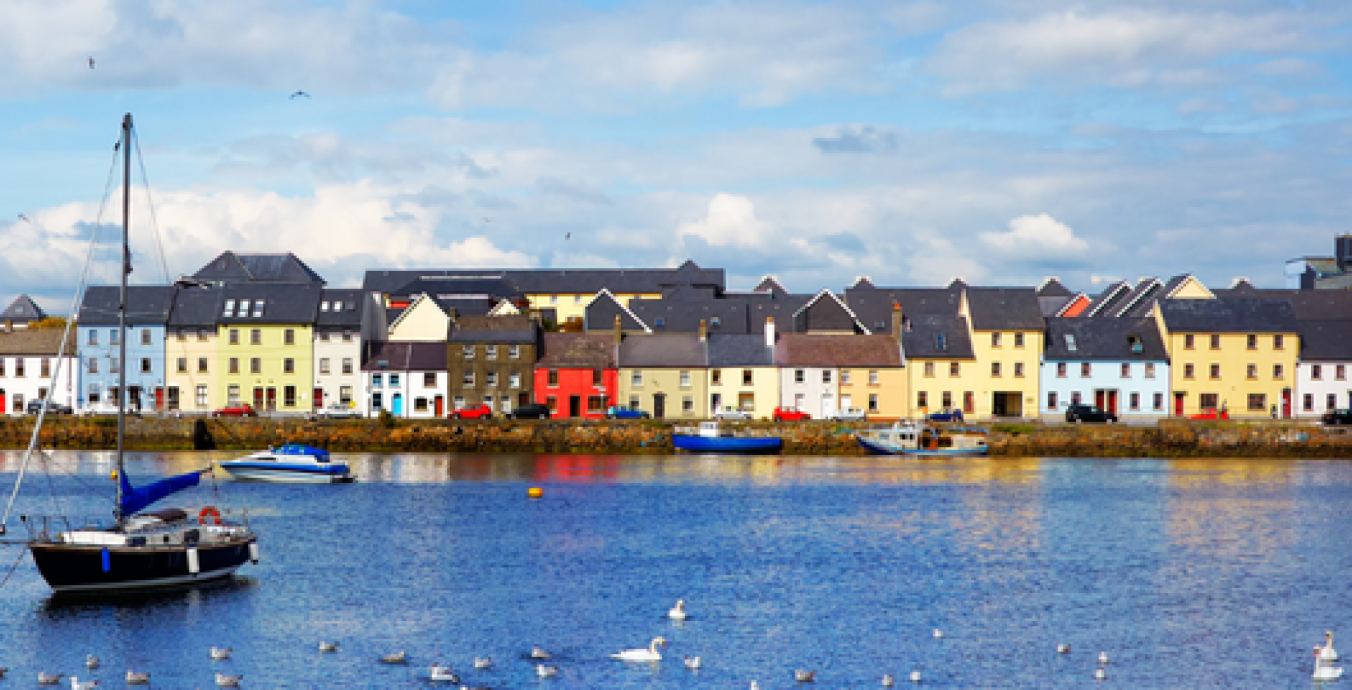 banner-image